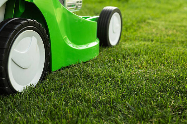 Petrol Lawn Mower with Grass Trimmer
